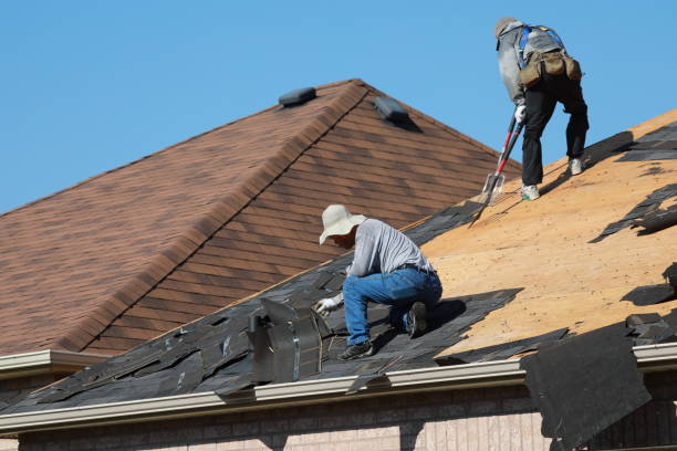 Best Metal Roofing Installation  in Warren Af, WY